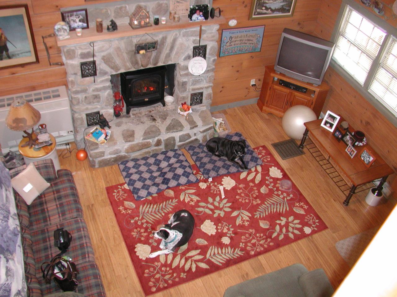 384 Green Road Tobyhanna, PA 18466 - Photo 3 of 6 an aerial view of a fireplace with wooden floor