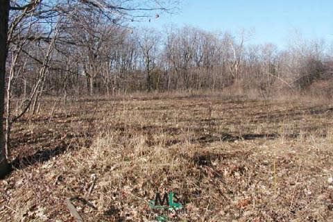 0 Stanton Lake Road Attica, MI 48412 - Photo 1 of 1 884512.JPG