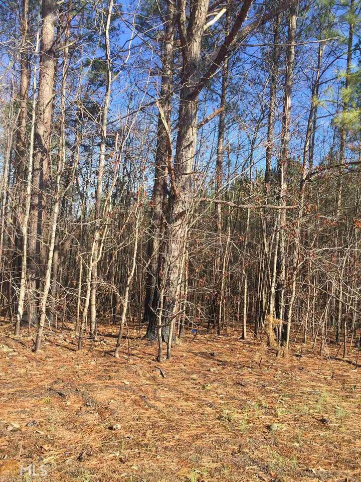 2407 Co Road Muscadine, AL 36269 - Photo 1 of 1 Gallery Image 1