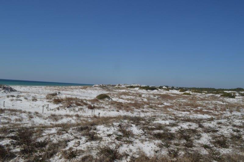 30 Lupine Road Santa Rosa Beach, FL 32459 - Photo 8 of 8 DSC_0818