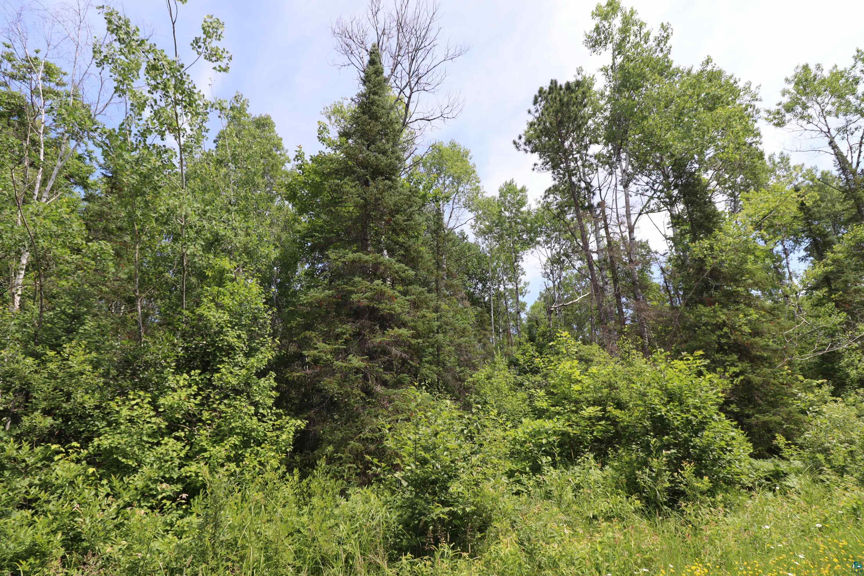 Lot 2 Campbell Road Herbster, WI 54844 - Photo 9 of 11