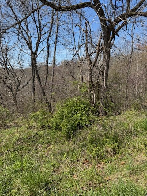 9999 Ember Road Livingston, KY 40445 - Photo 13 of 13 IMG_2852