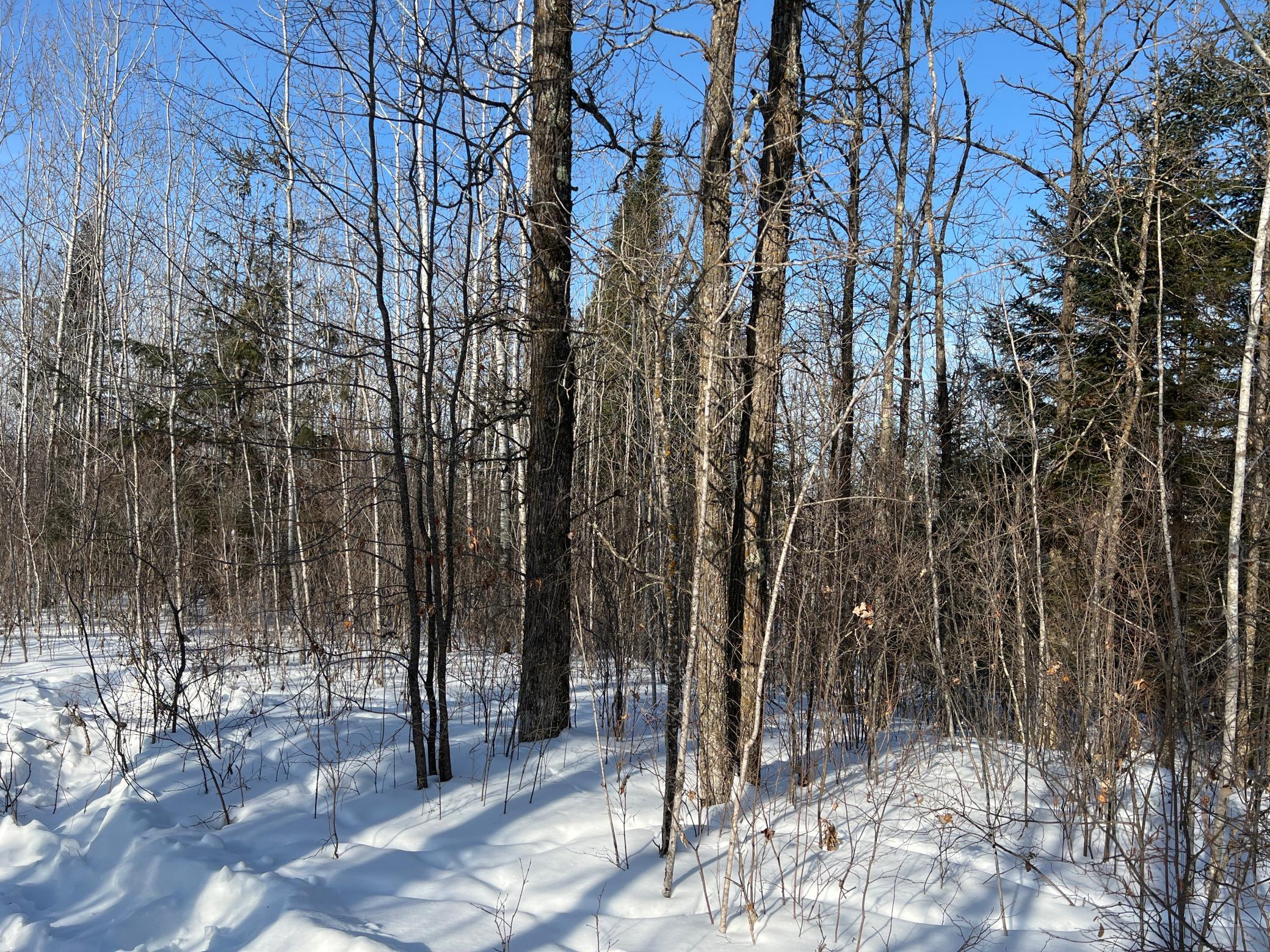 Na Pioneer Road Sturgeon Lake, MN 55783 - Photo 11 of 35
