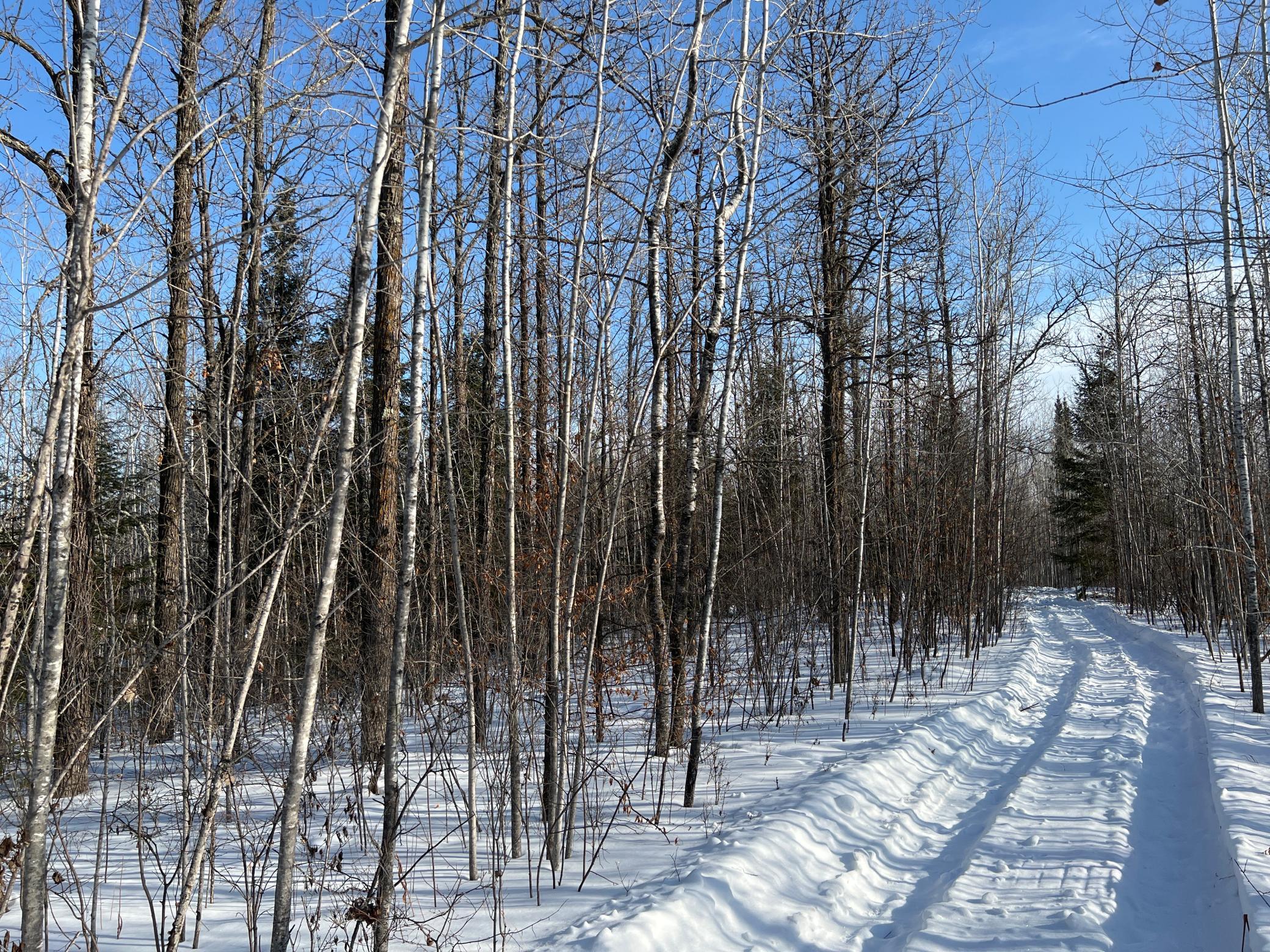 Na Pioneer Road Sturgeon Lake, MN 55783 - Photo 12 of 35