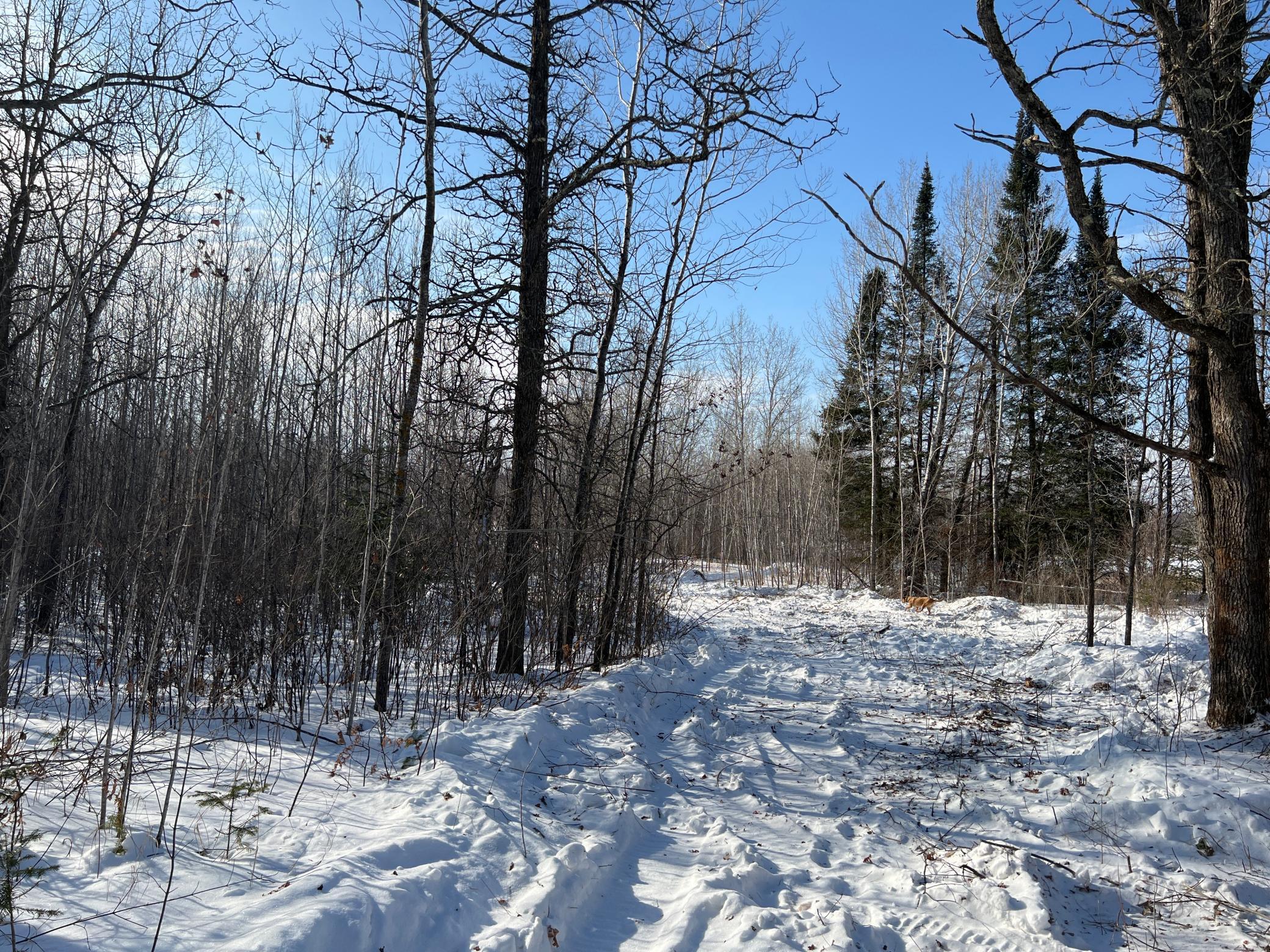Na Pioneer Road Sturgeon Lake, MN 55783 - Photo 13 of 35