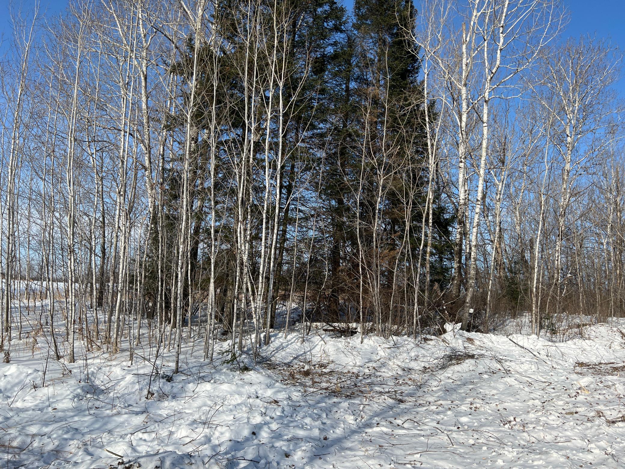 Na Pioneer Road Sturgeon Lake, MN 55783 - Photo 14 of 35
