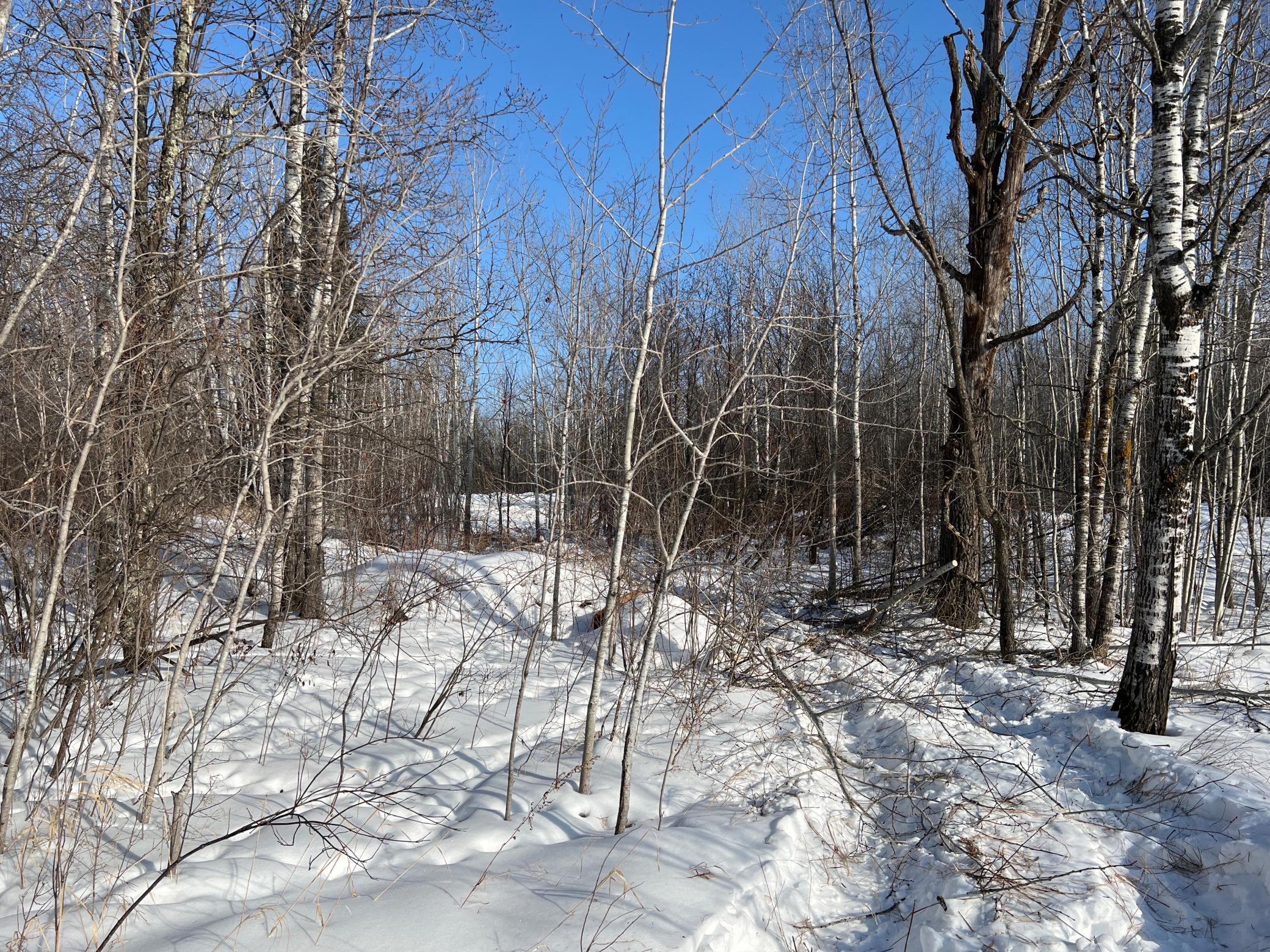 Na Pioneer Road Sturgeon Lake, MN 55783 - Photo 16 of 35