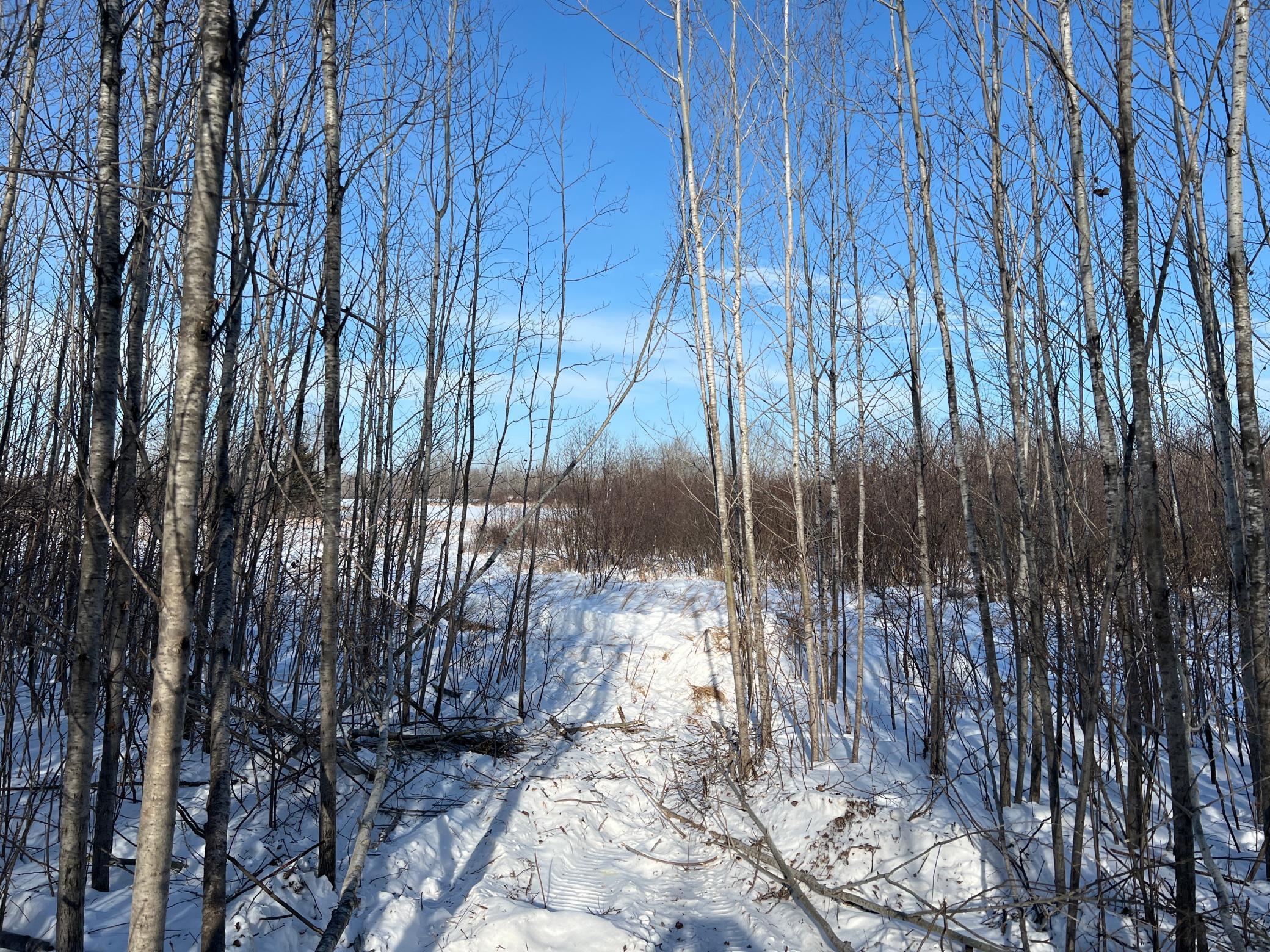 Na Pioneer Road Sturgeon Lake, MN 55783 - Photo 22 of 35