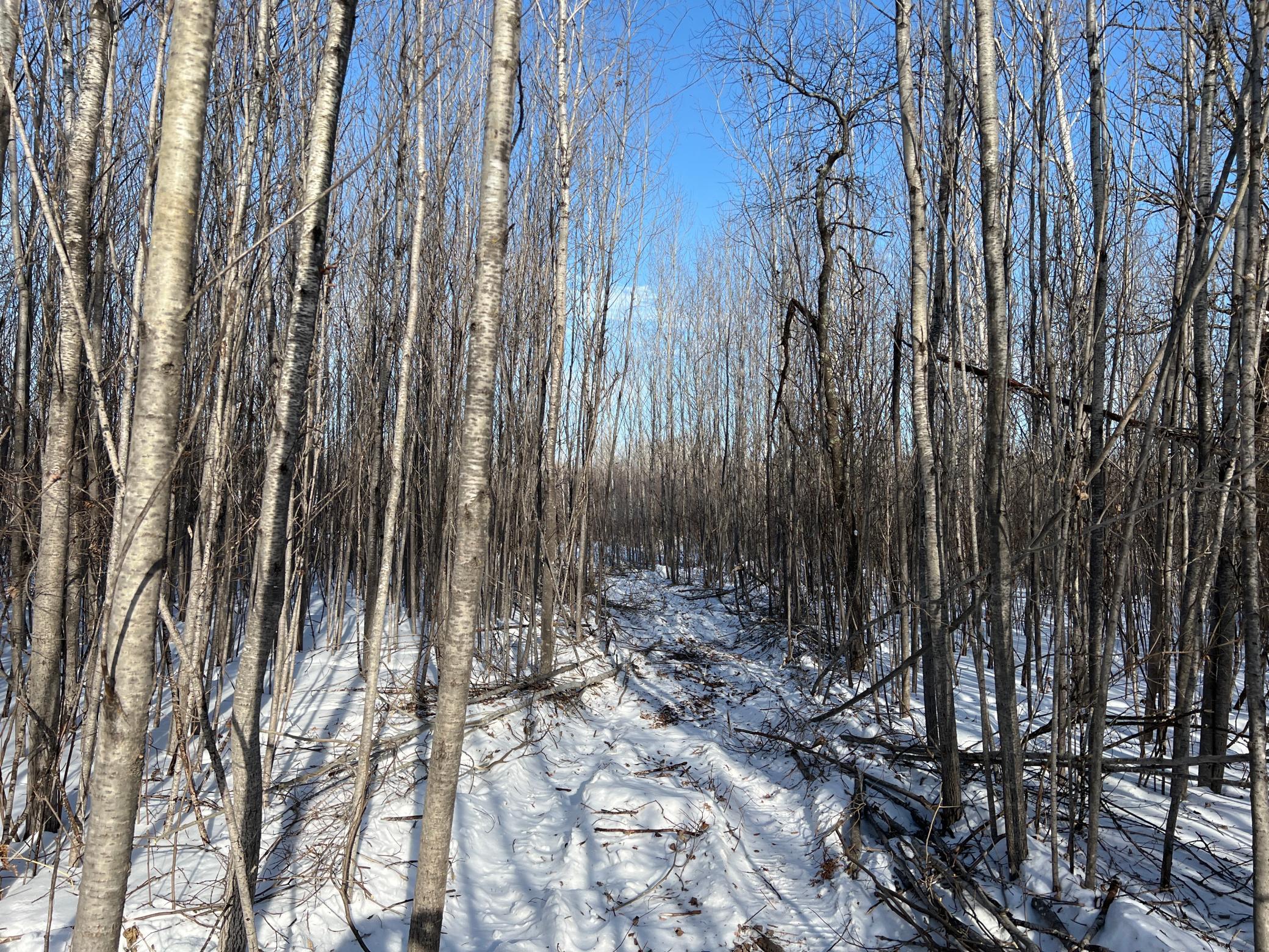 Na Pioneer Road Sturgeon Lake, MN 55783 - Photo 24 of 35