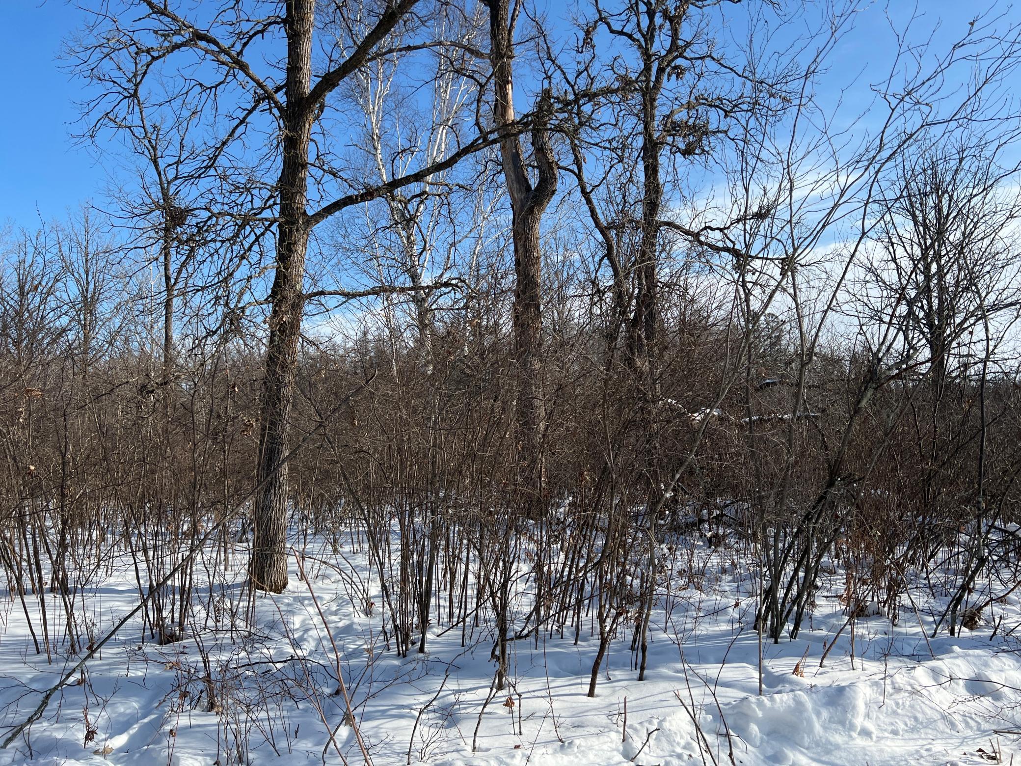 Na Pioneer Road Sturgeon Lake, MN 55783 - Photo 25 of 35