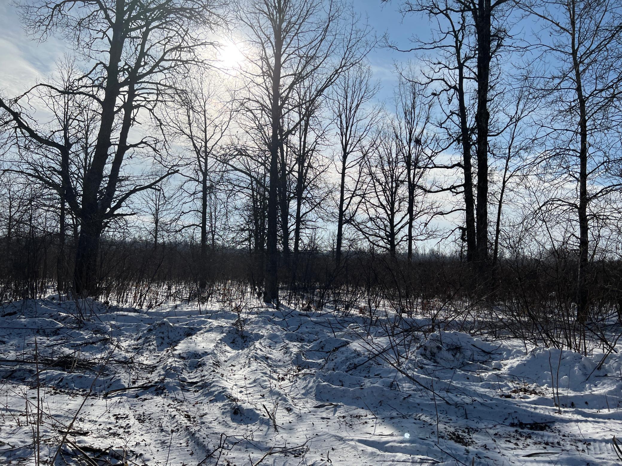 Na Pioneer Road Sturgeon Lake, MN 55783 - Photo 27 of 35