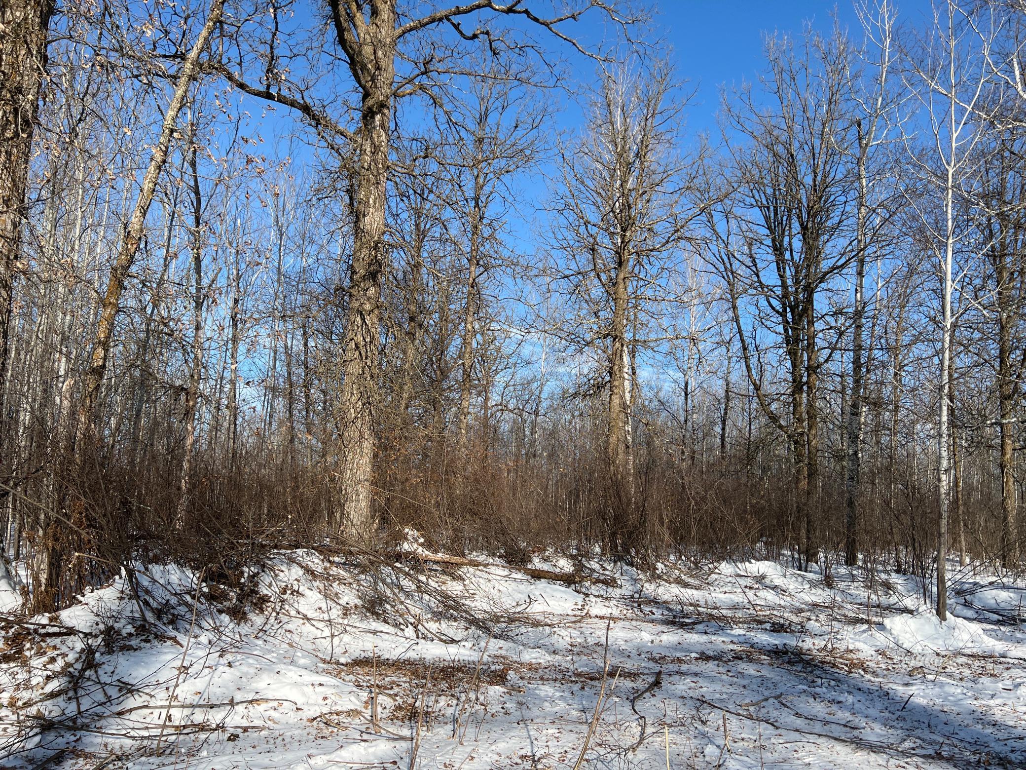 Na Pioneer Road Sturgeon Lake, MN 55783 - Photo 28 of 35
