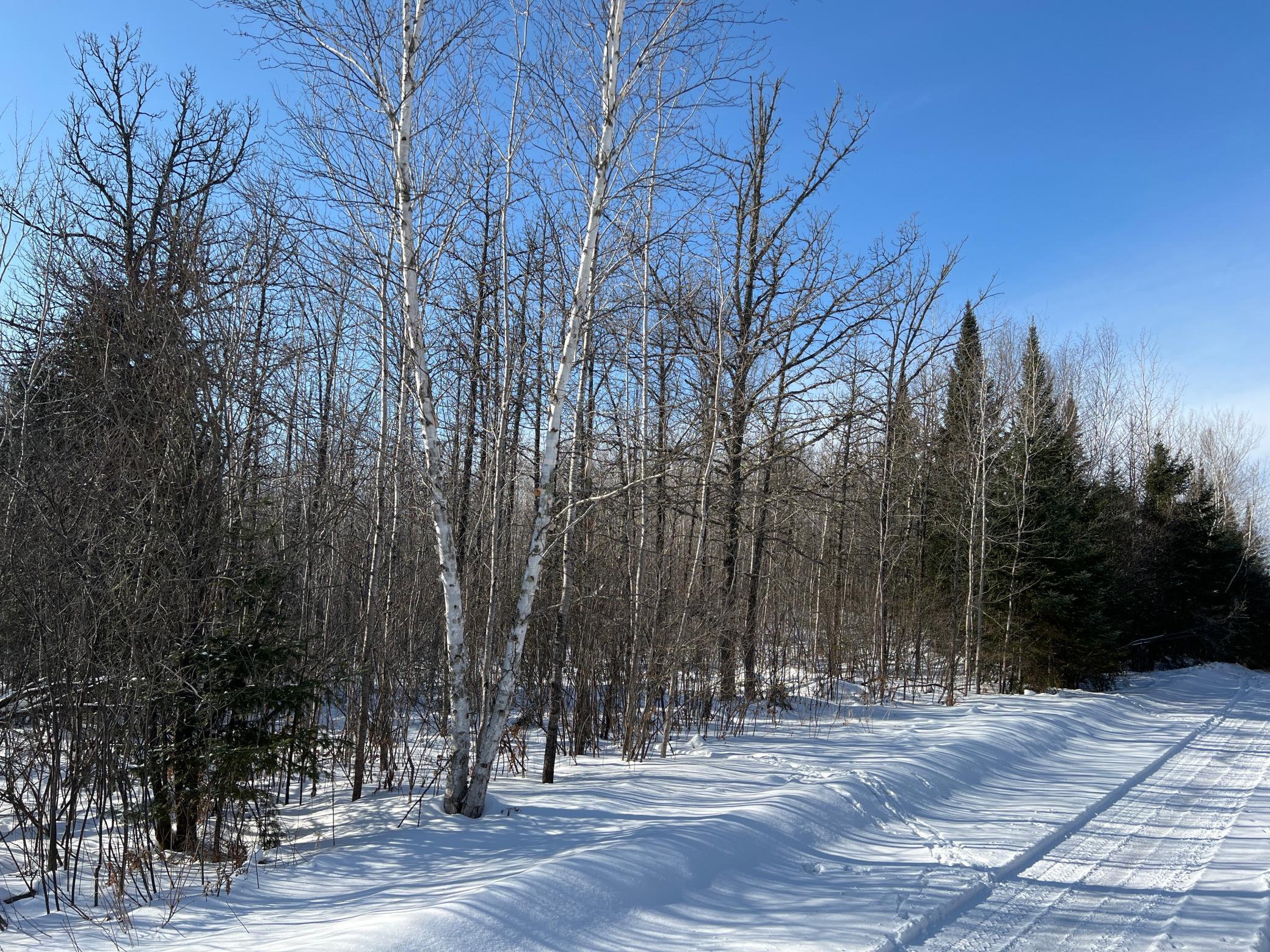 Na Pioneer Road Sturgeon Lake, MN 55783 - Photo 30 of 35