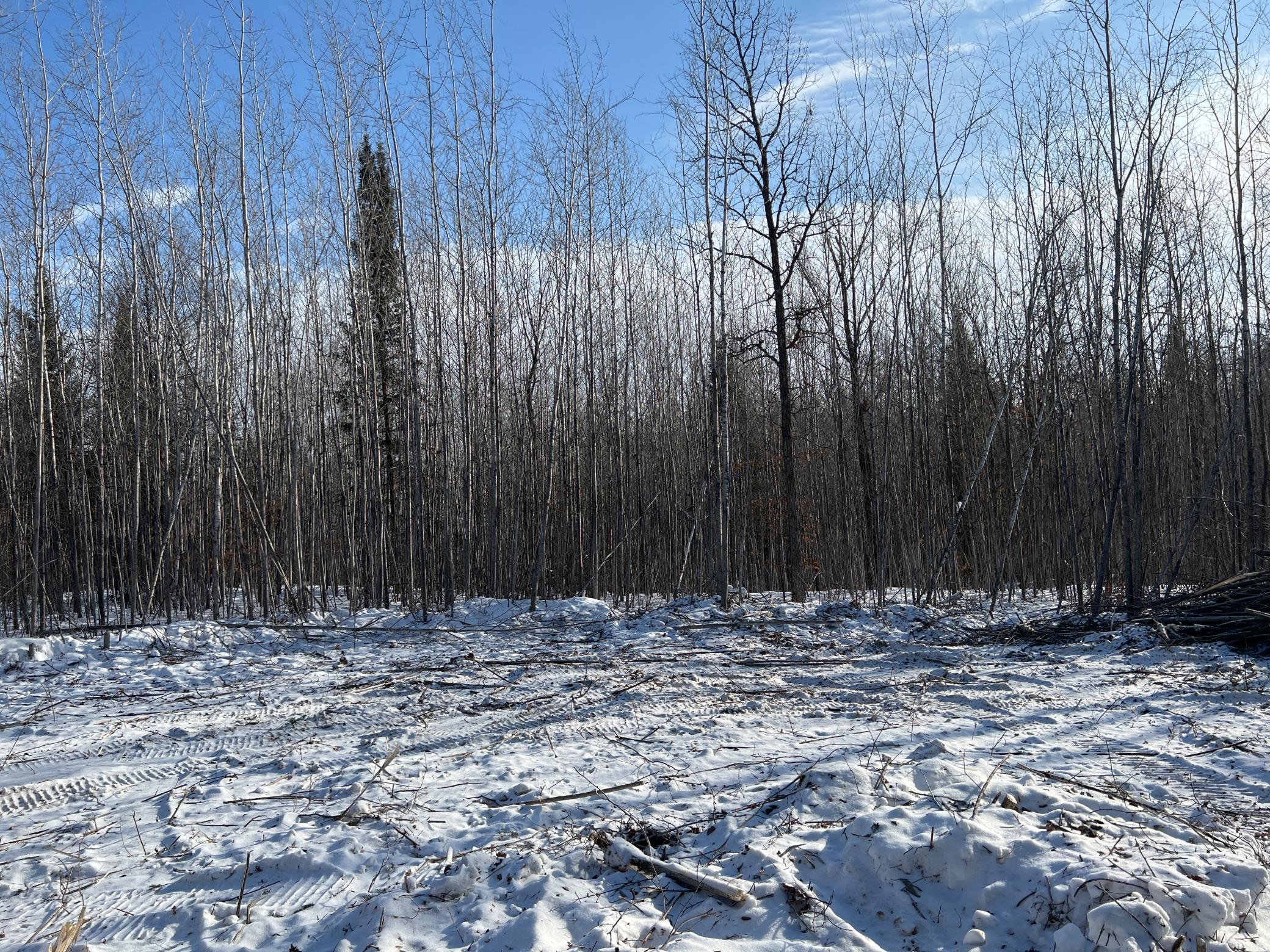Na Pioneer Road Sturgeon Lake, MN 55783 - Photo 8 of 35