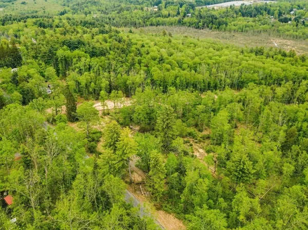a view of a lush green field
