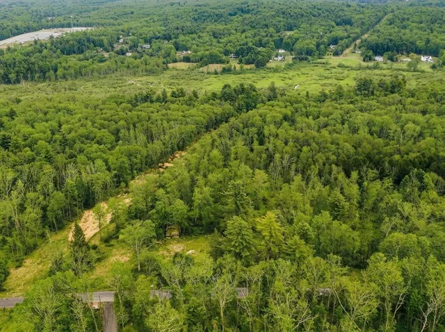 a view of a lush green forest with lots of trees