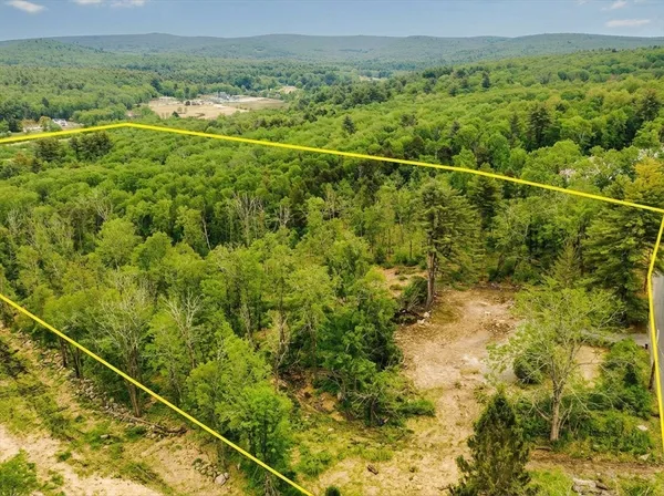 a view of a yard with a forest