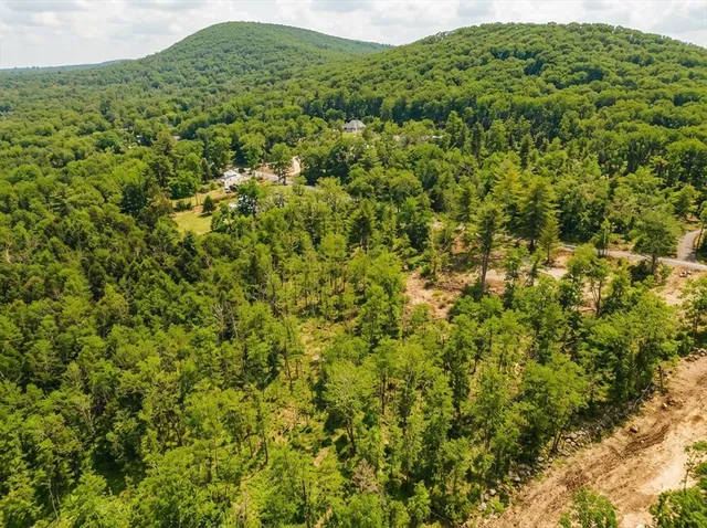 a view of a large building with lush green forest