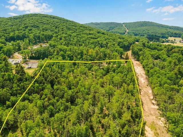 a view of a forest with a houses