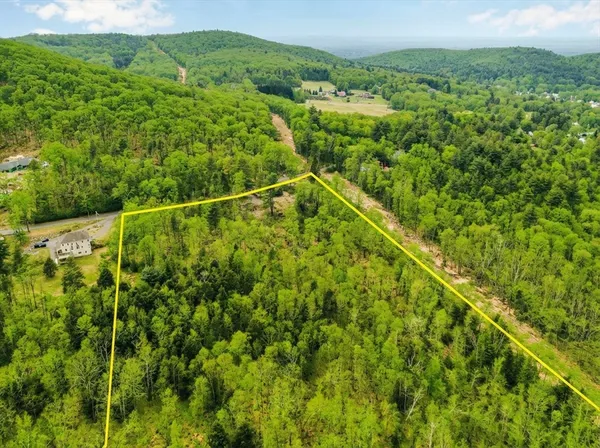 a view of a lush green forest from a balcony