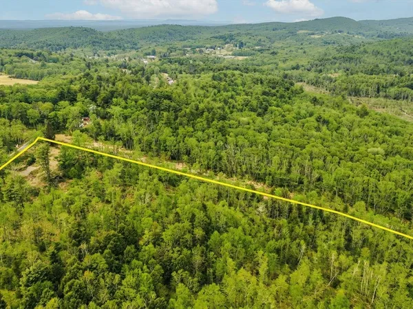 a view of a field with a lush green forest