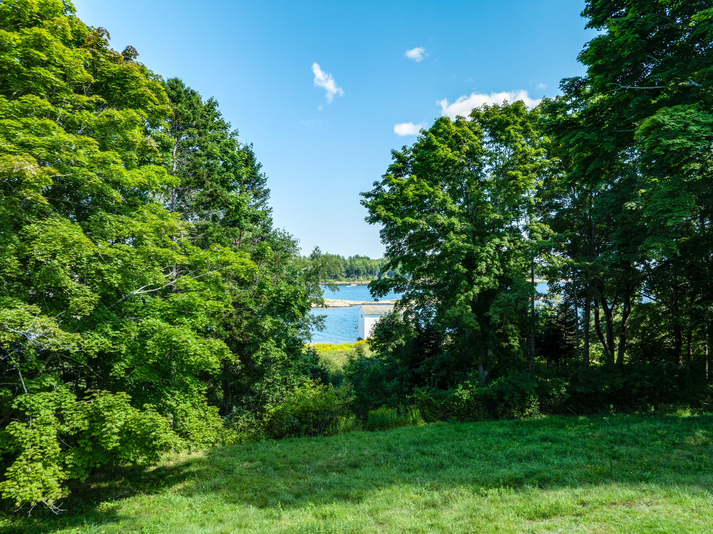 7 Leeman Road Orrs Island, ME 04066 - Photo 22 of 50 Chickadee Imagery-58
