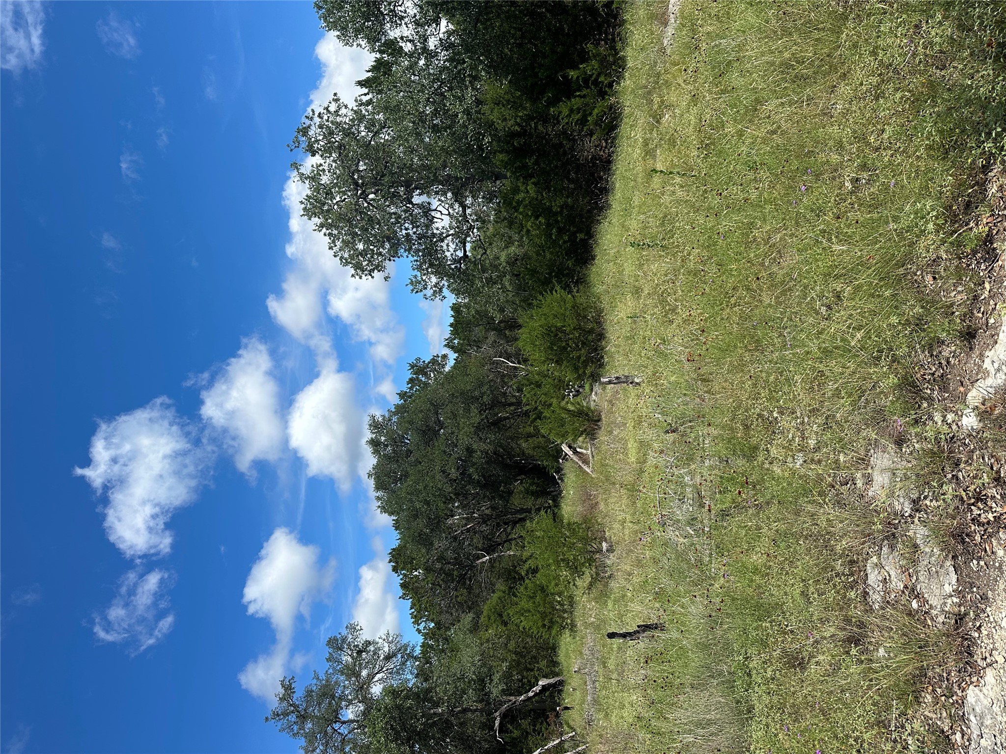0 Lantana Gold Spring Branch, TX 78070 - Photo 11 of 15 A spacious, naturally vegetated lot offers a serene setting for your future home.