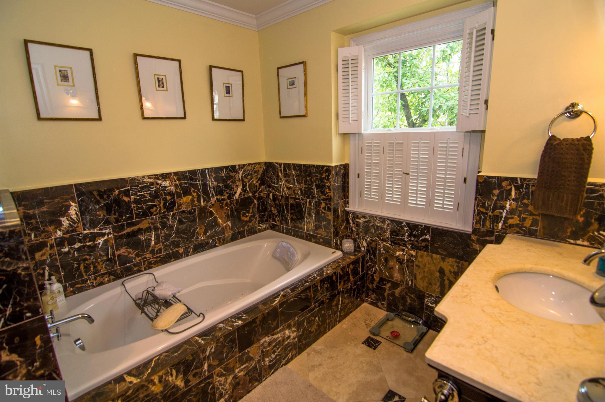 6746 Towne Lane Road McLean, VA 22101 - Photo 13 of 30 Bath (Master)