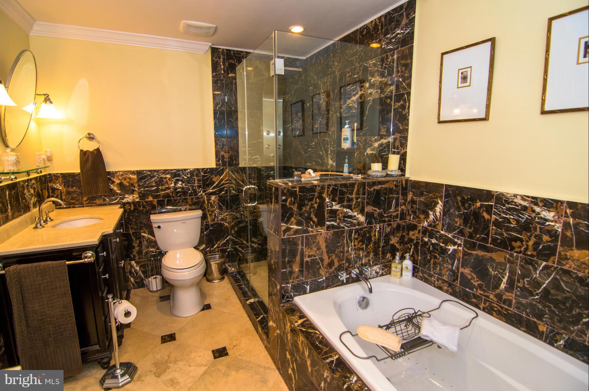 6746 Towne Lane Road McLean, VA 22101 - Photo 14 of 30 Bath (Master)