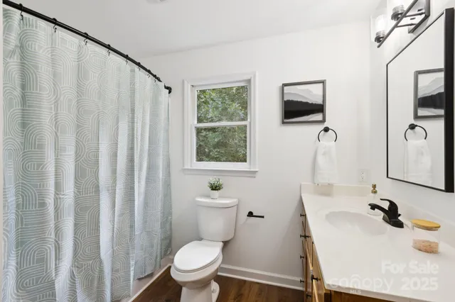 a bathroom with a sink toilet a mirror and shower curtain