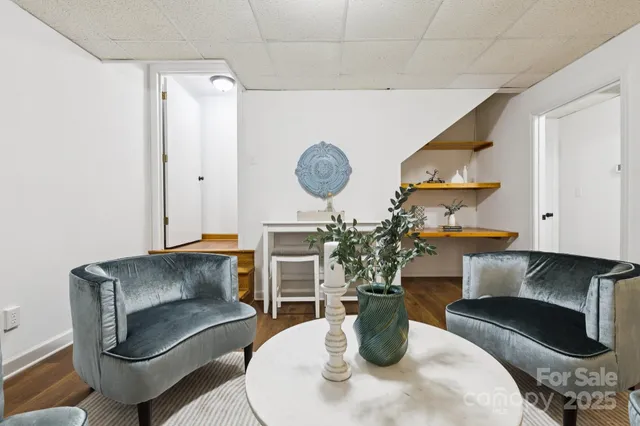 a living room with furniture and a potted plant