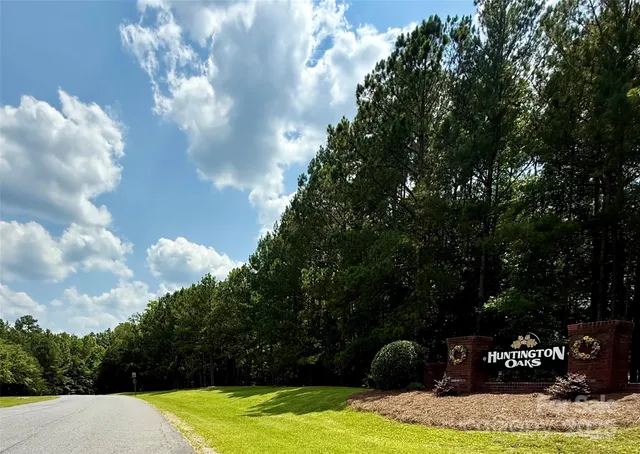 a street view with tall trees