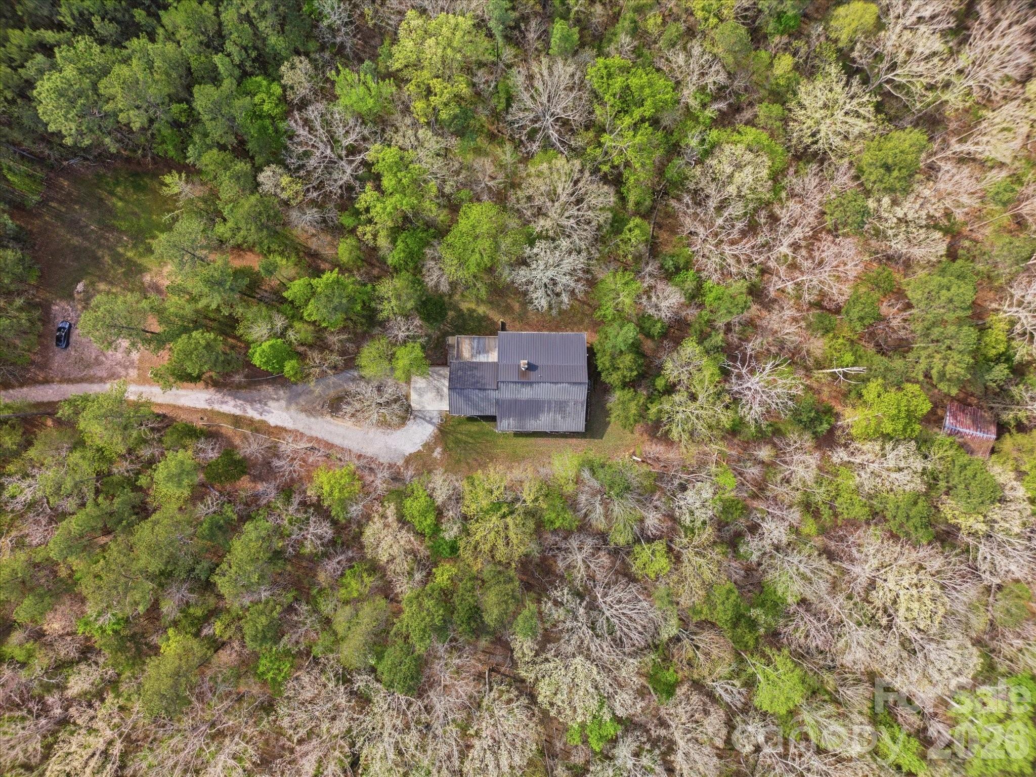 3090 Goblet Road Richburg, SC 29729 - Photo 47 of 48 a view of a tree with a yard