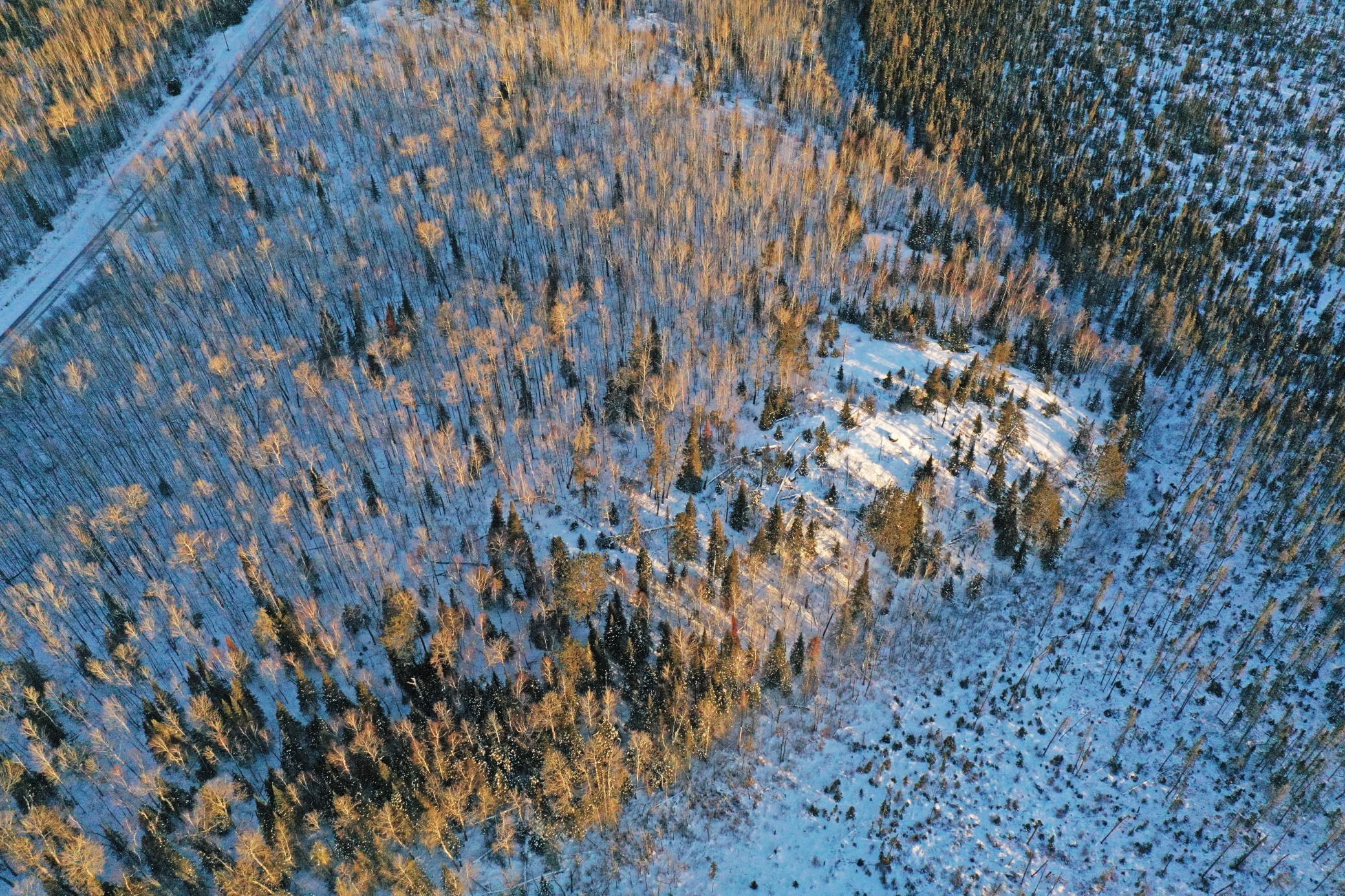 0 Fectos Road Tower, MN 55790 - Photo 16 of 48