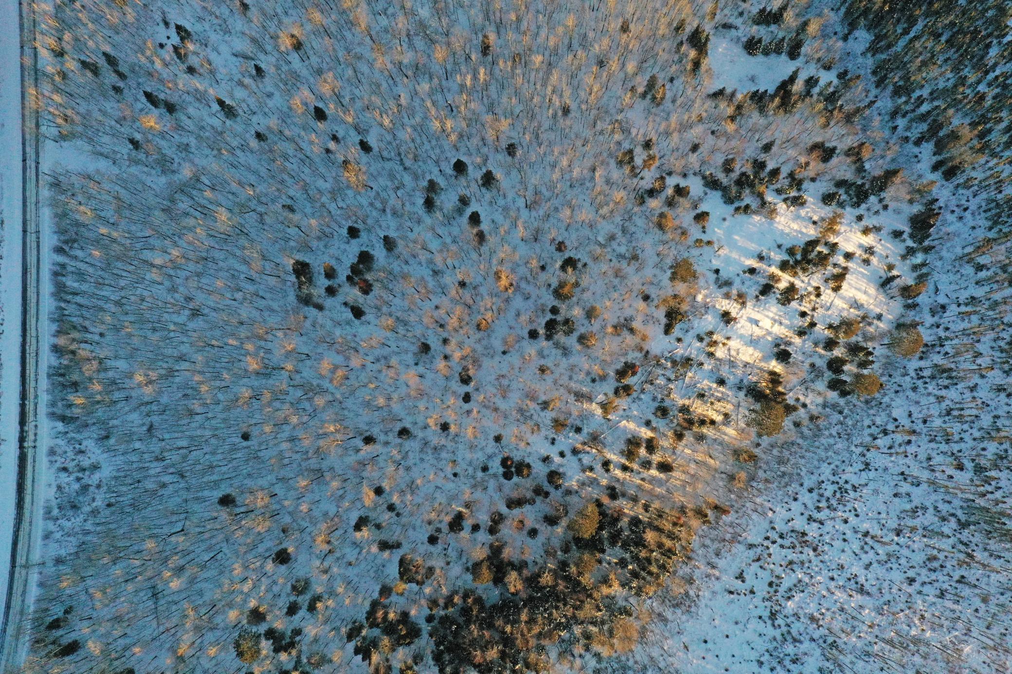 0 Fectos Road Tower, MN 55790 - Photo 17 of 48