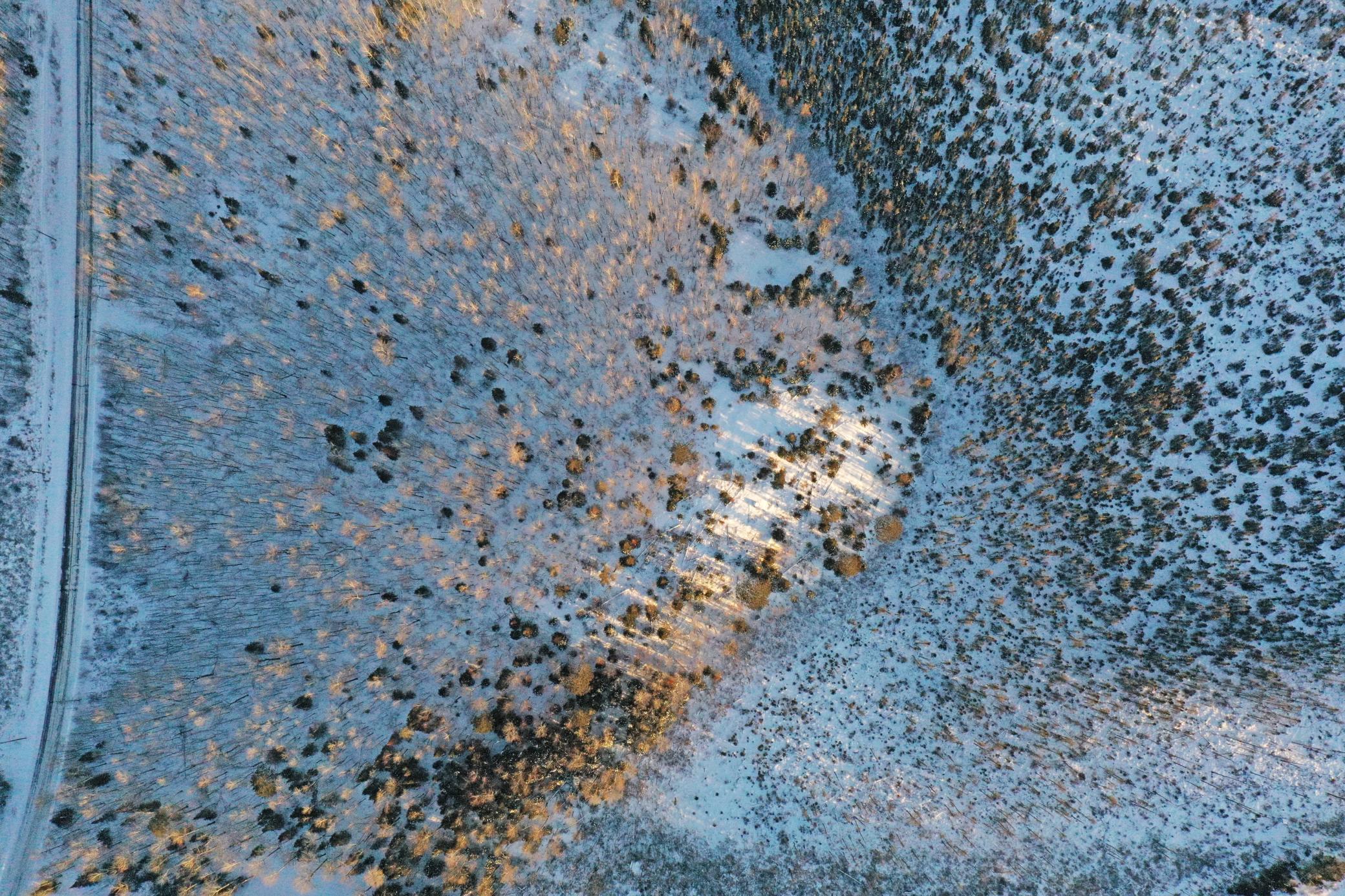 0 Fectos Road Tower, MN 55790 - Photo 18 of 48