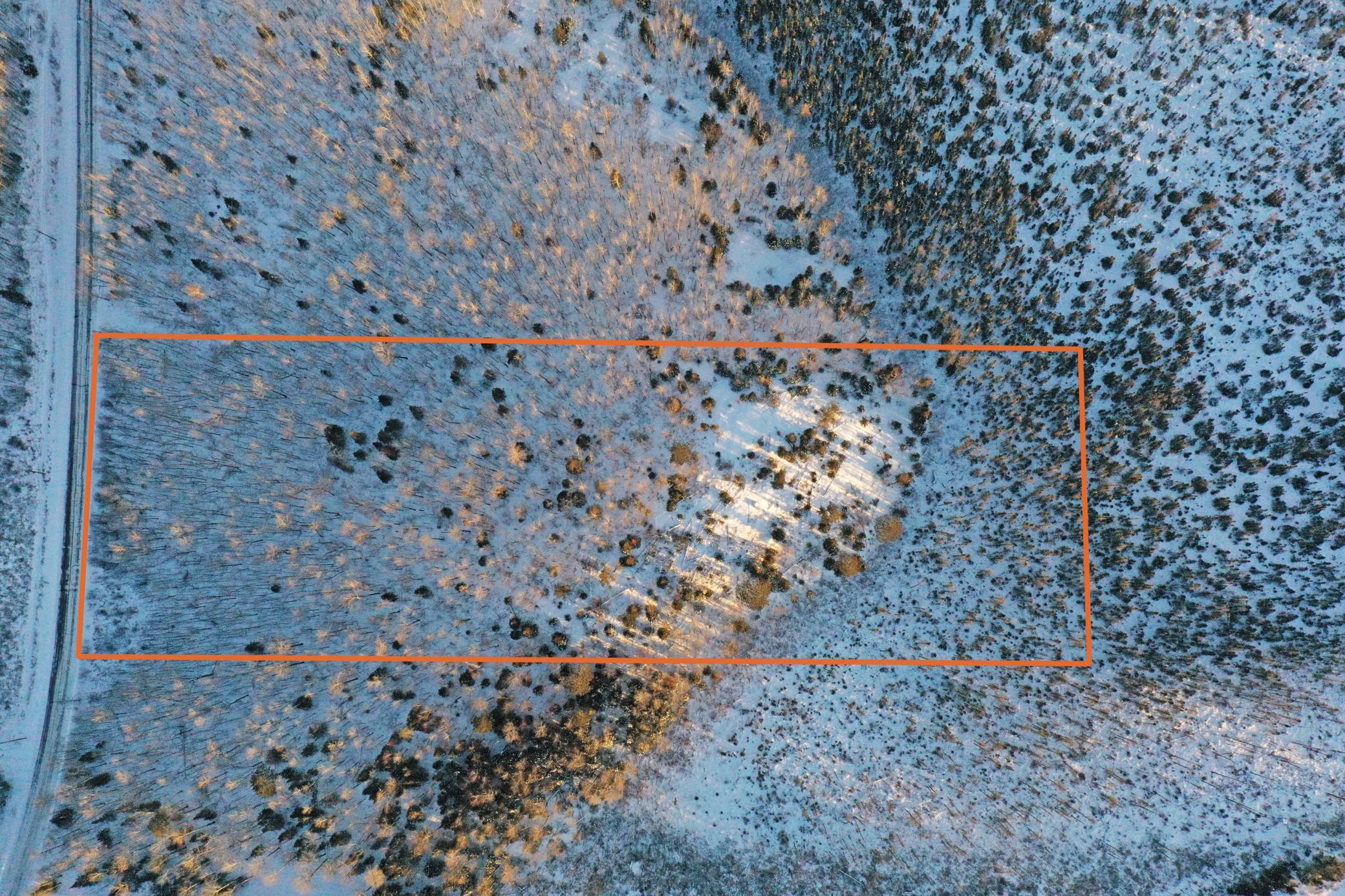 0 Fectos Road Tower, MN 55790 - Photo 2 of 48