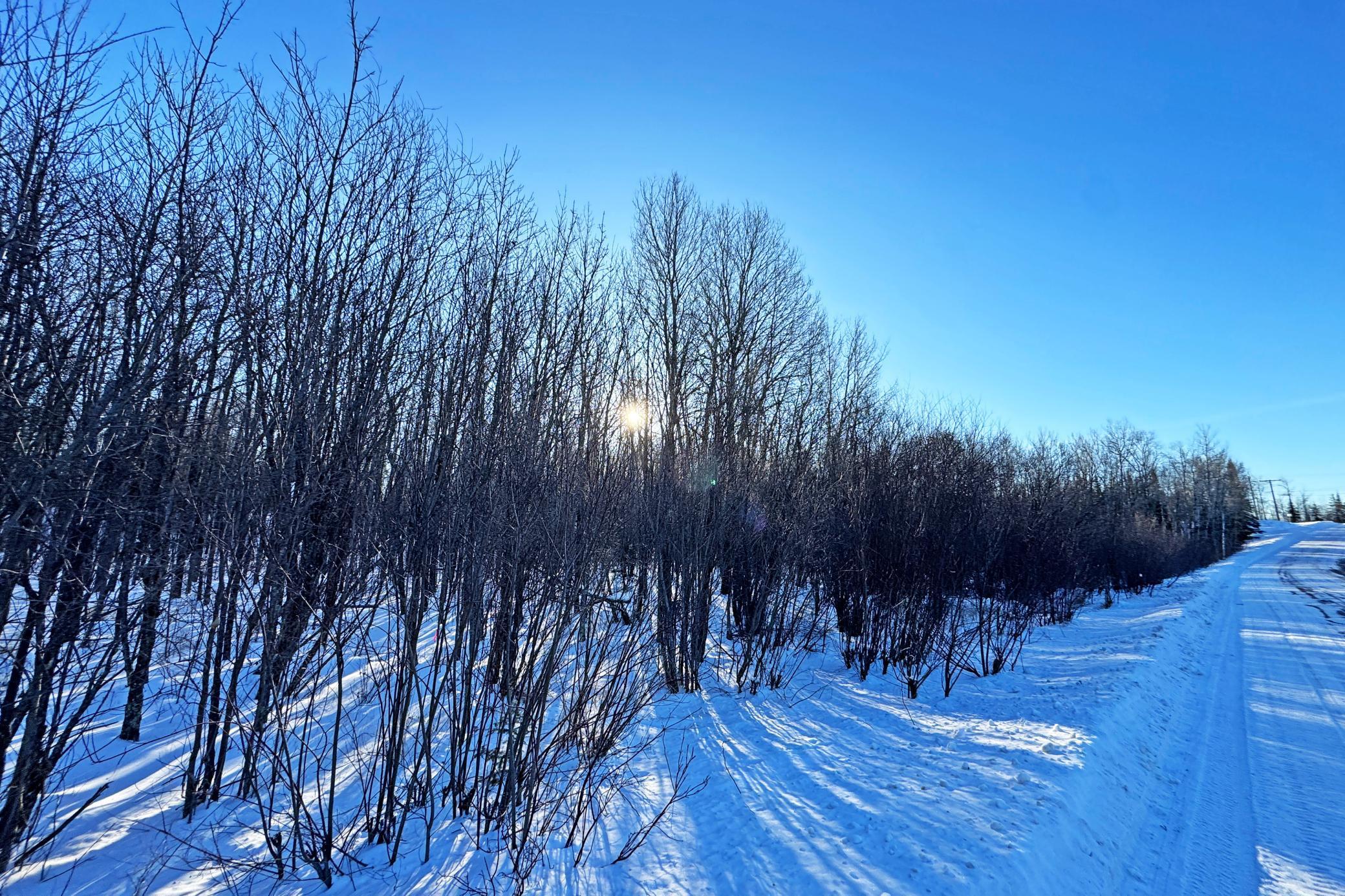 0 Fectos Road Tower, MN 55790 - Photo 23 of 48