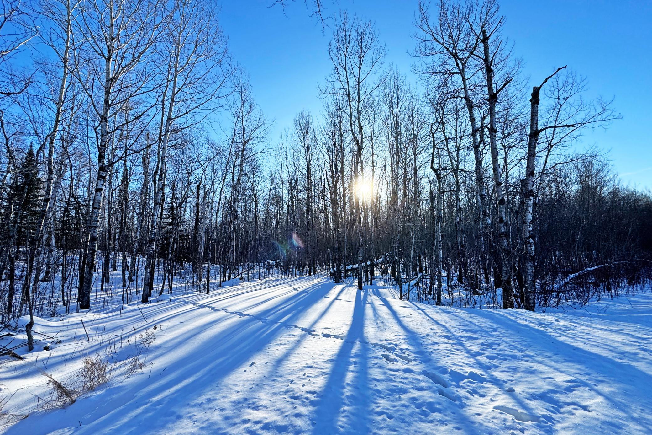 0 Fectos Road Tower, MN 55790 - Photo 24 of 48