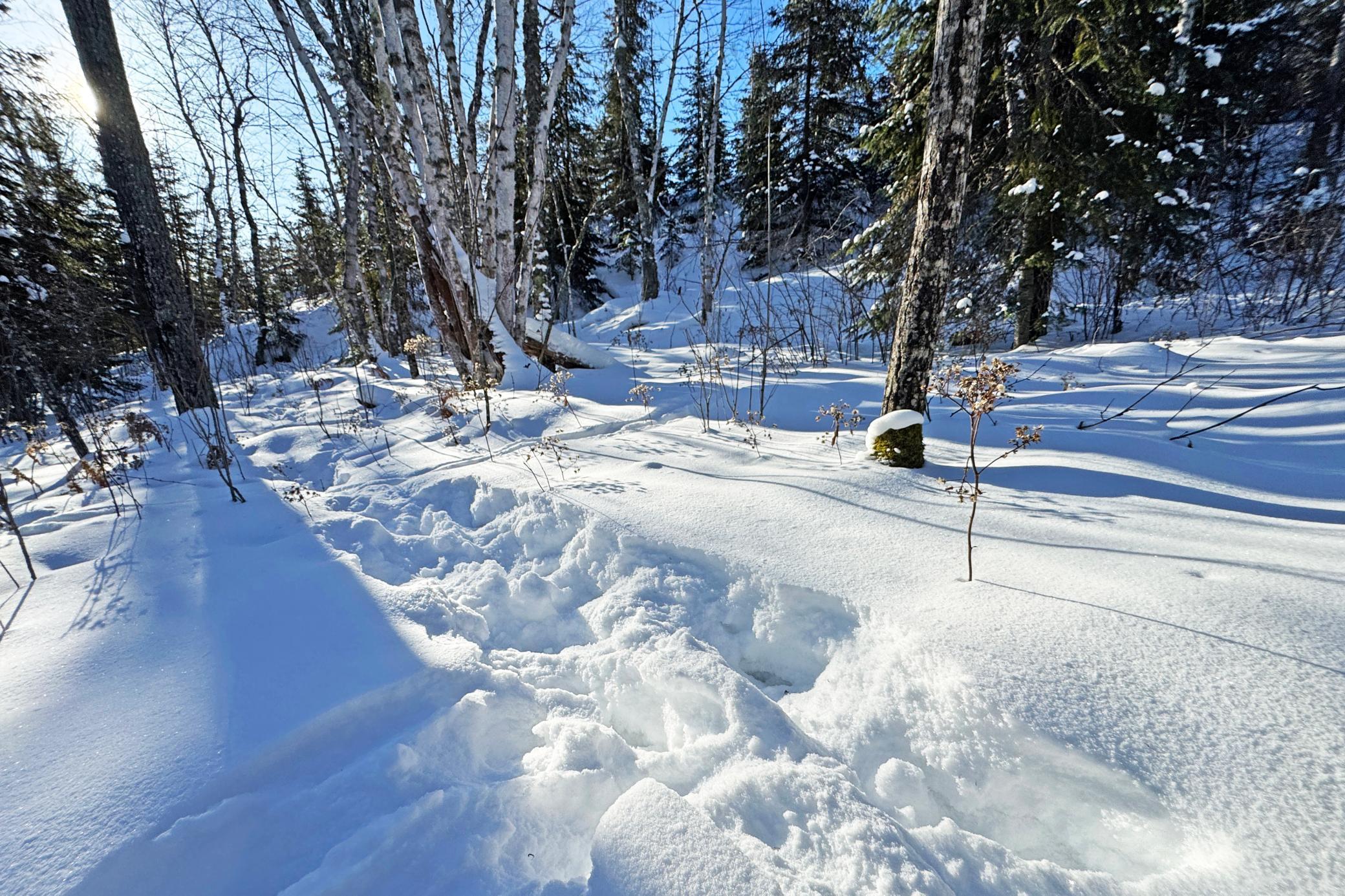 0 Fectos Road Tower, MN 55790 - Photo 25 of 48