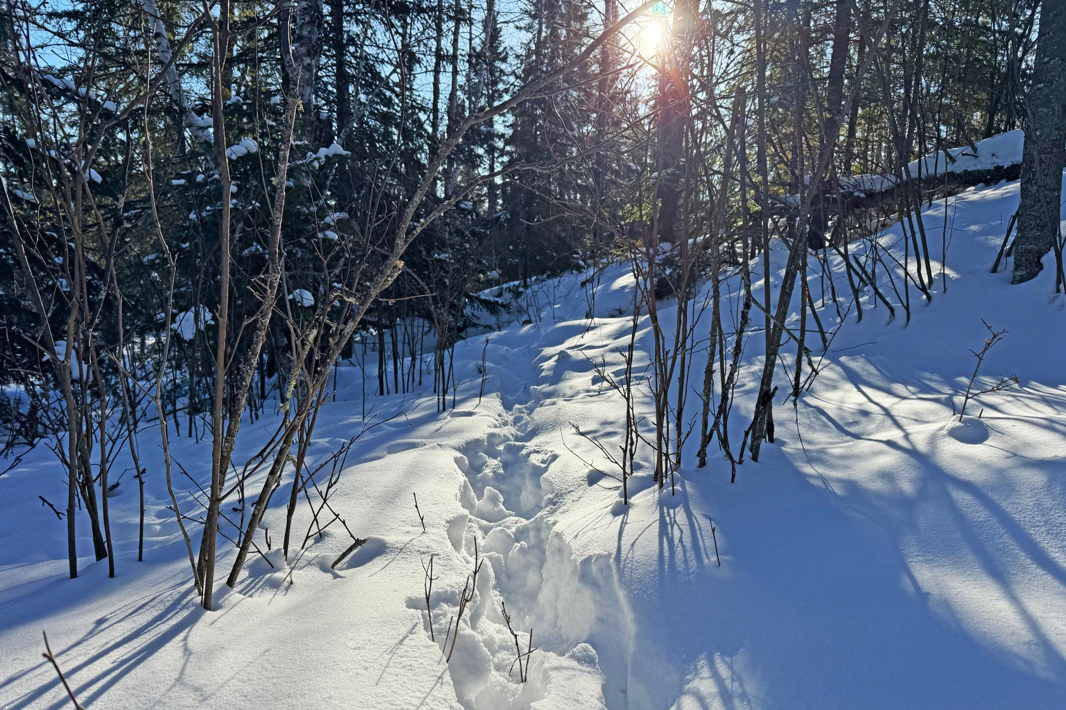 0 Fectos Road Tower, MN 55790 - Photo 27 of 48