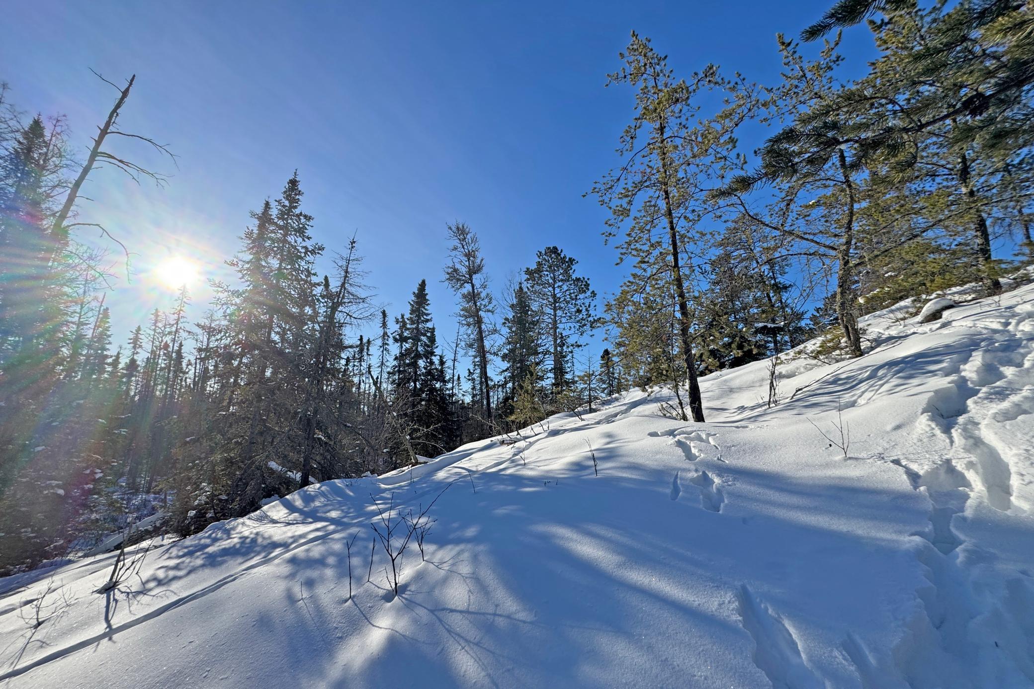 0 Fectos Road Tower, MN 55790 - Photo 28 of 48