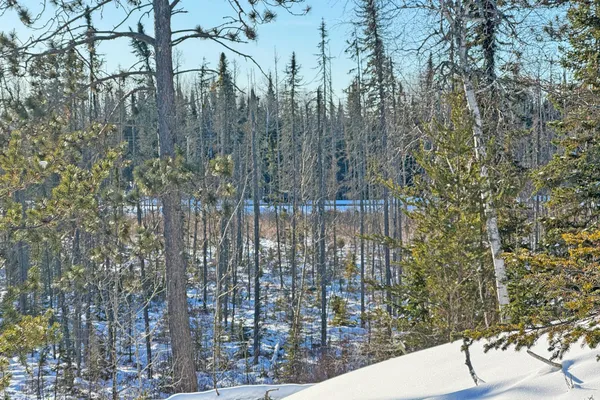 $210,000 | 0 Fectos Road, Tower, MN 55790