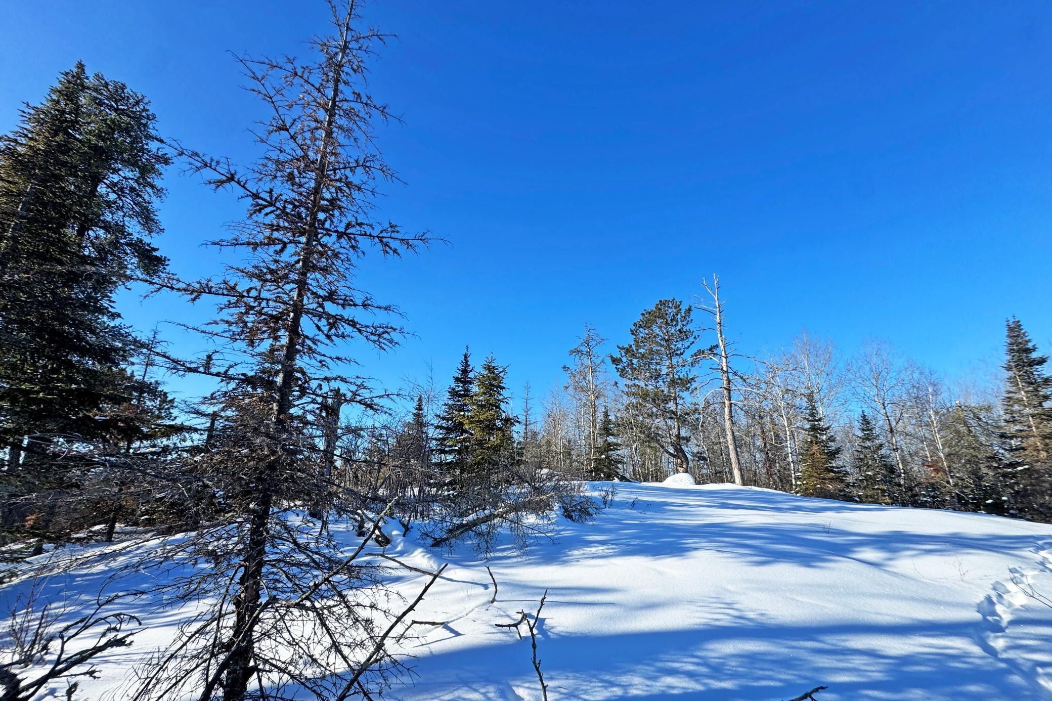 0 Fectos Road Tower, MN 55790 - Photo 30 of 48