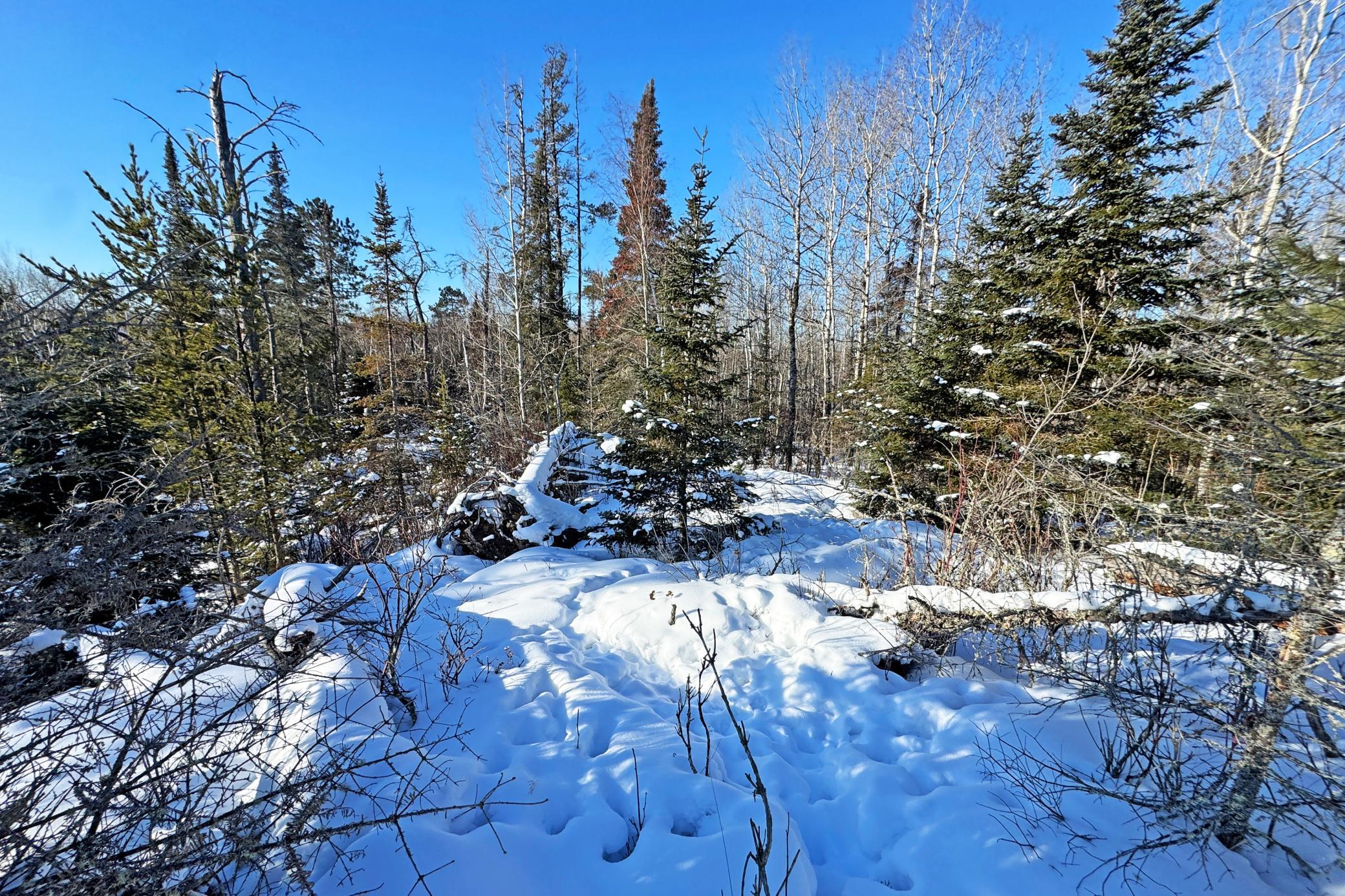 0 Fectos Road Tower, MN 55790 - Photo 38 of 48