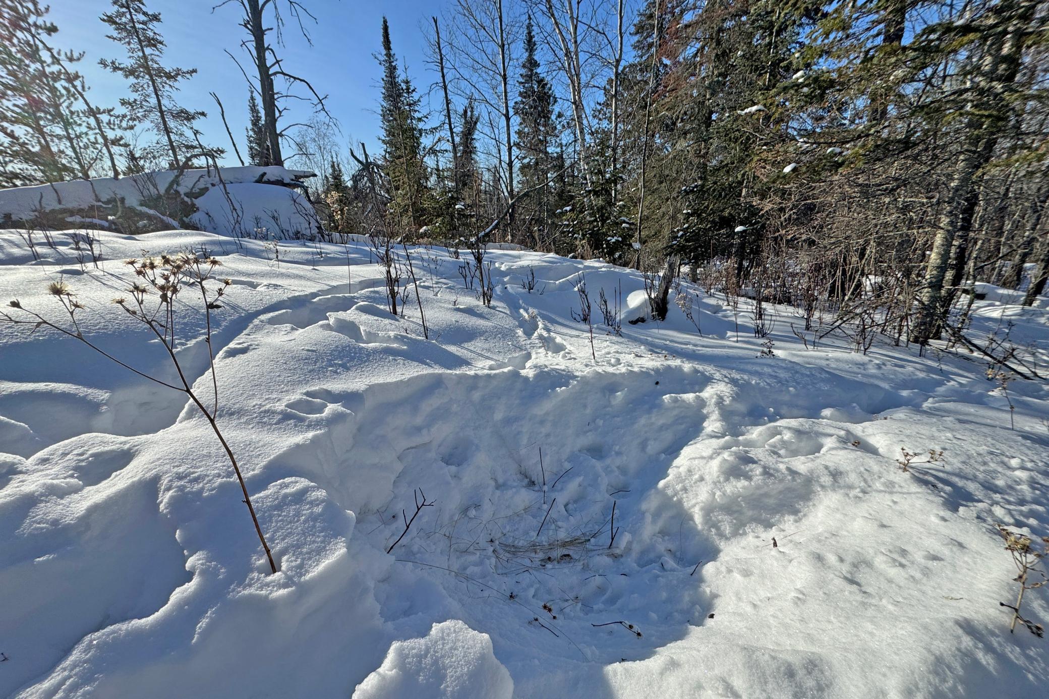 0 Fectos Road Tower, MN 55790 - Photo 39 of 48