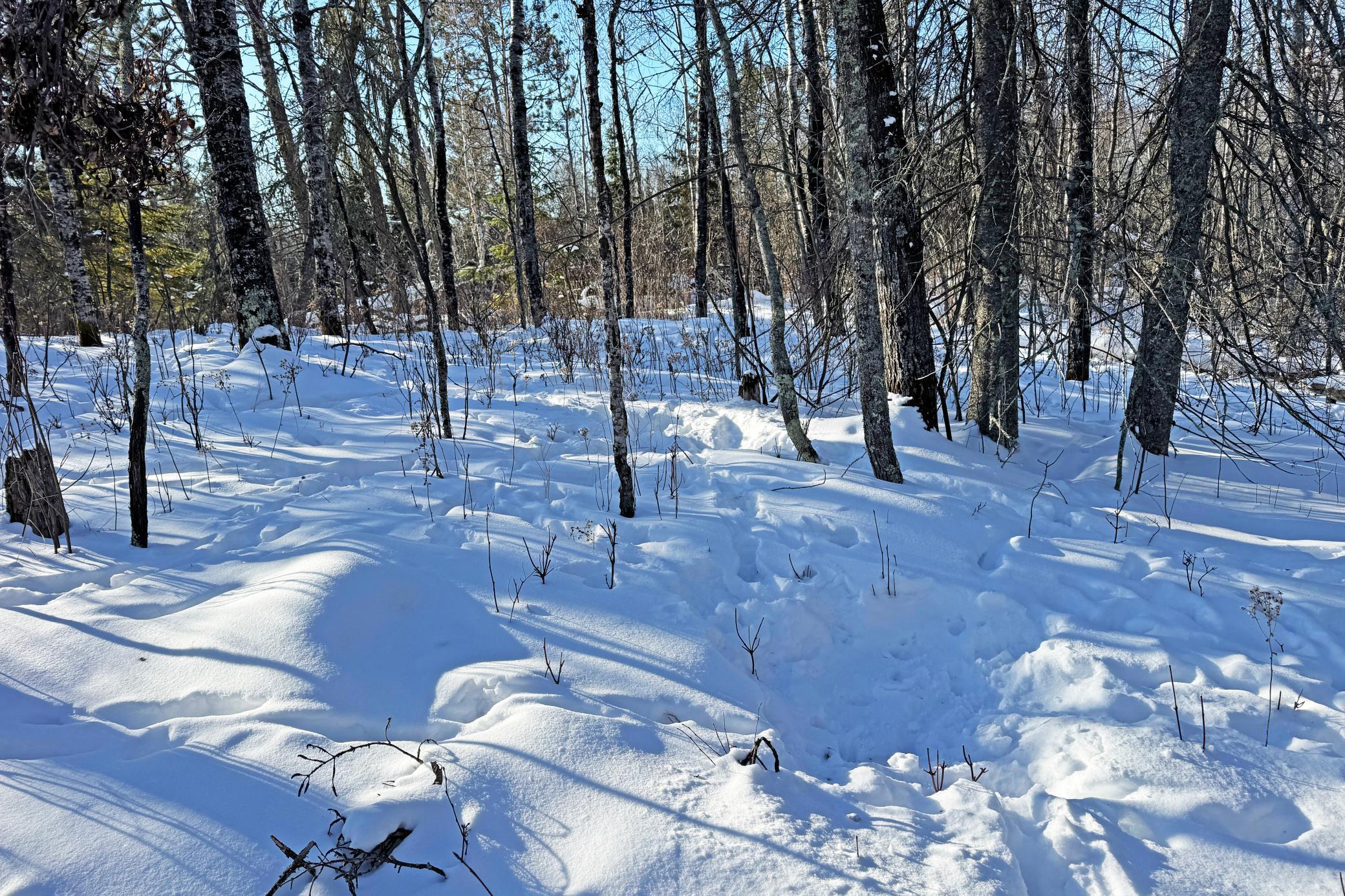 0 Fectos Road Tower, MN 55790 - Photo 40 of 48