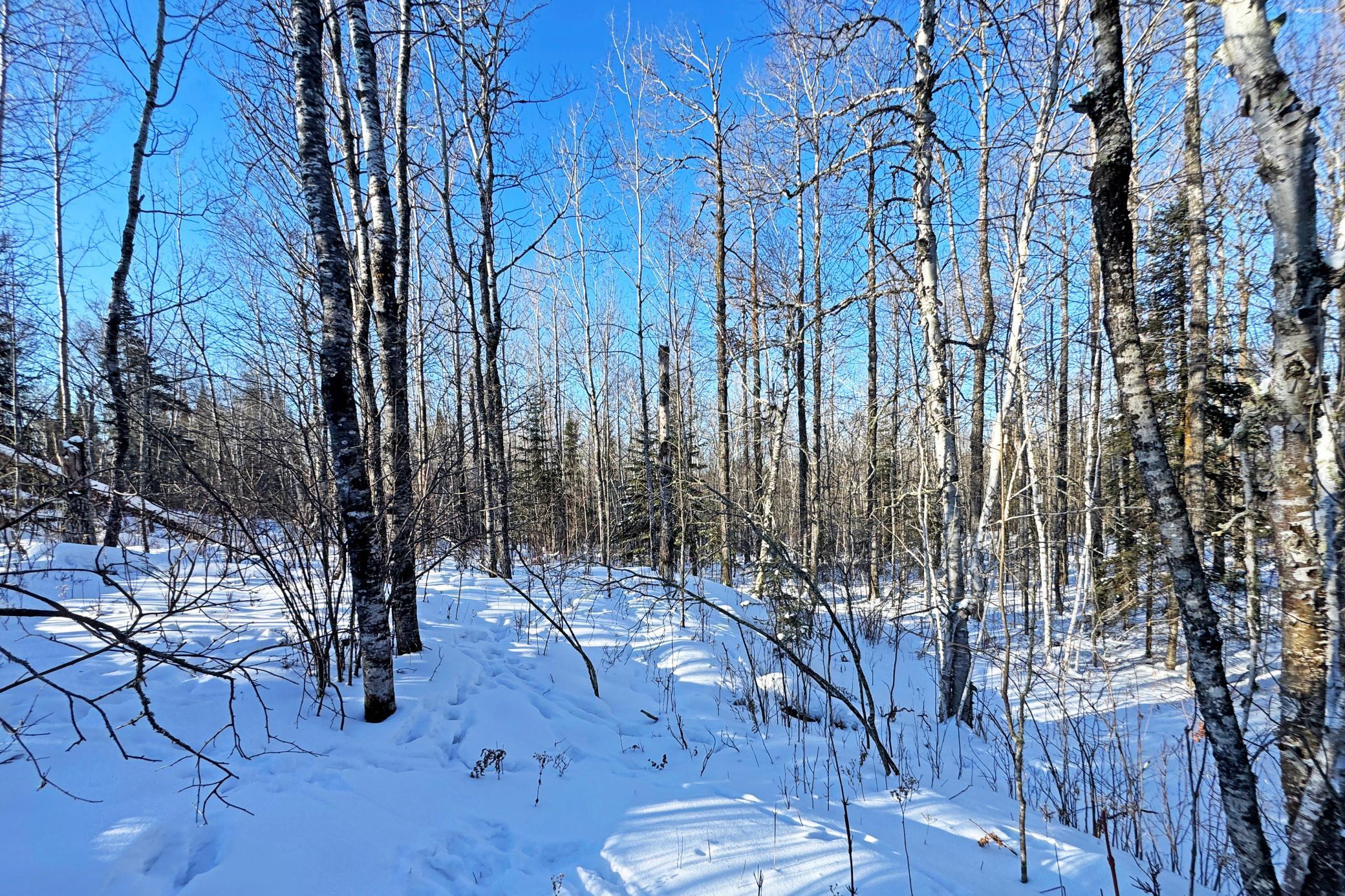 0 Fectos Road Tower, MN 55790 - Photo 41 of 48