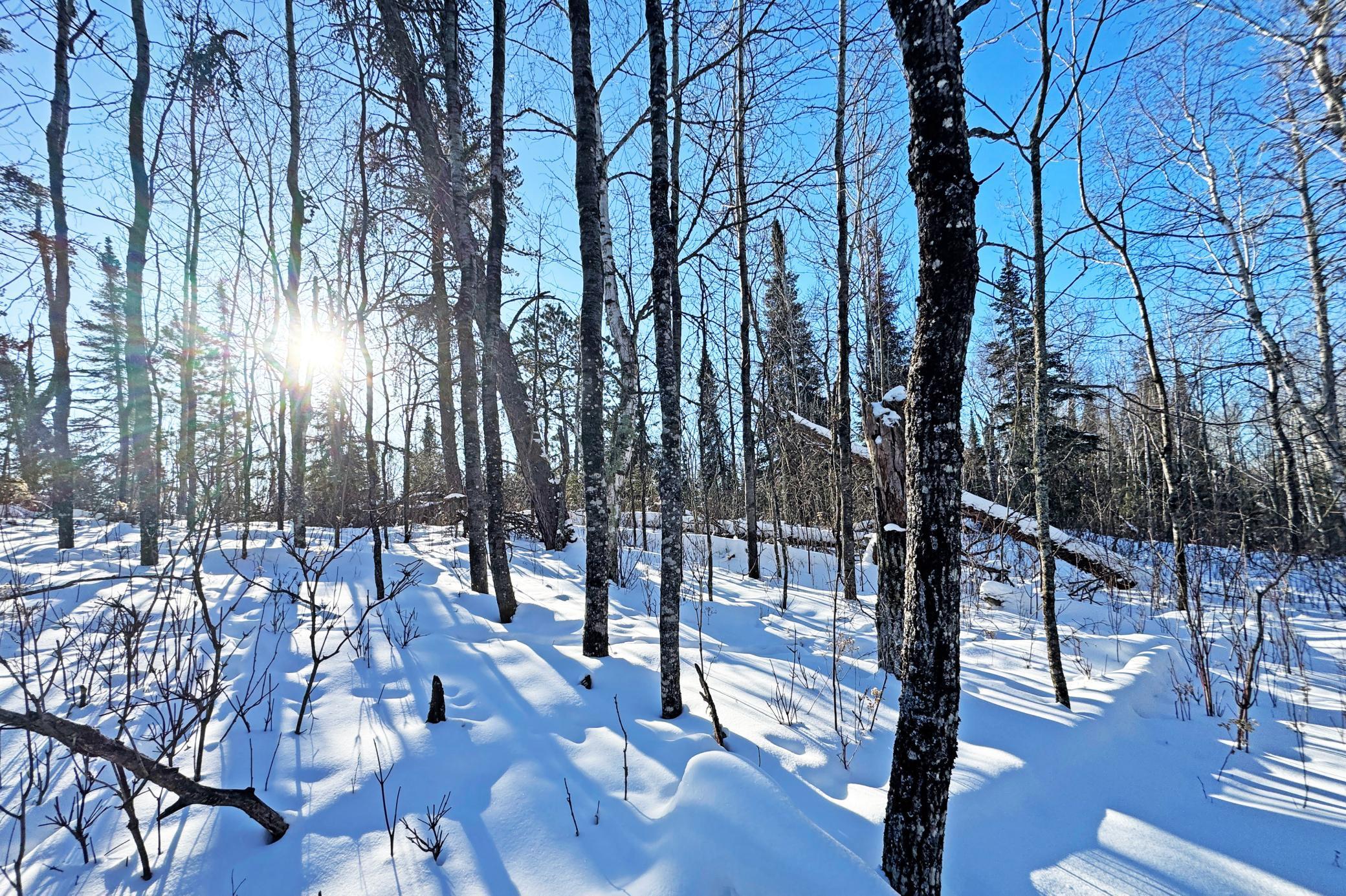 0 Fectos Road Tower, MN 55790 - Photo 42 of 48