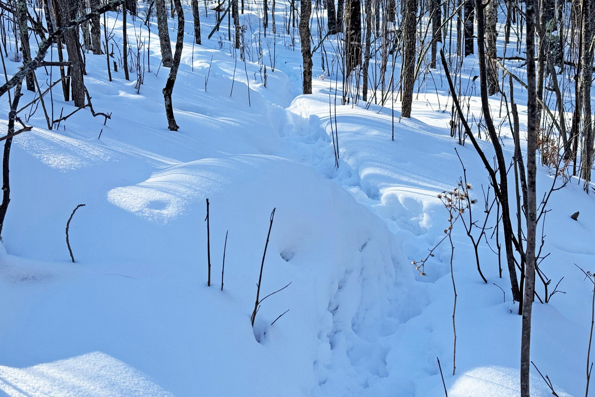 0 Fectos Road Tower, MN 55790 - Photo 44 of 48